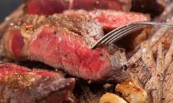 Protein tutkusu ömrü kısaltıyor mu? Yüksek protein trendine yeni uyarı
