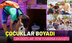 Çocuklar boyadı, bir can dost yeni yuvasına kavuştu