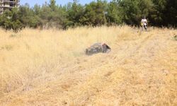 Karabağlar'da yabani ot temizliğinde teknolojik hamle