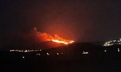 Bodrum’da maki ve ot yangını