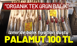 İzmir'de balık fiyatları düştü; palamut 100 TL