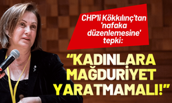CHP'li Kökkılınç'tan 'nafaka düzenlemesine' tepki: Kadınlara mağduriyet yaratmamalı!