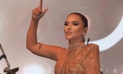 Demet Akalın konserinde tacize uğradı: "Herif her tarafımı elledi"
