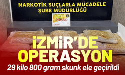 İzmir'de 29 kilo 800 gram skunk ele geçirildi