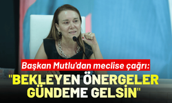 Başkan Mutlu'dan meclise çağrı: Bekleyen önergeler gündeme gelsin