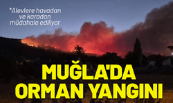 Muğla Menteşe'de orman yangını!