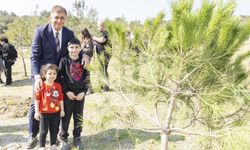 Büyükşehir hafriyat döküm sahalarını, yeşil alanlara dönüştürüyor