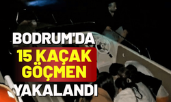 Bodrum'da 15 kaçak göçmen yakalandı