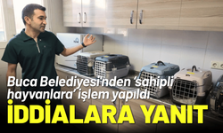 Buca Belediyesi'nden iddialara yanıt: Sahipsiz hayvanlara işlem yapılmaktadır