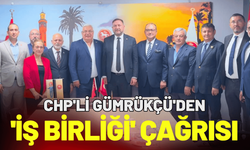 CHP'li Gümrükçü'den 'Siyaset üstü bir iş birliği' çağrısı