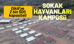 Dikili’ye tam teşekküllü sokak hayvanları kampüsü