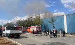 Gaziantep’te pamuk fabrikasında yangın