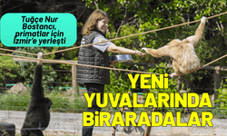Tuğçe Nur Bostancı, primatlardan ayrılmadı, İzmir'e geldi