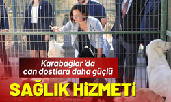 Karabağlar 'da can dostlara daha güçlü sağlık hizmeti
