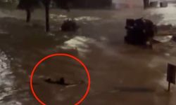 İstanbul Sarıyer'de akıntıya kapılmamak için yüzdü