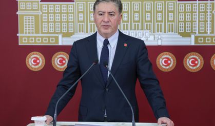 CHP'li Emir: Böyle bir yemin olmaz