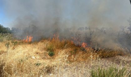 Kütahya'da otluk alanda yangın