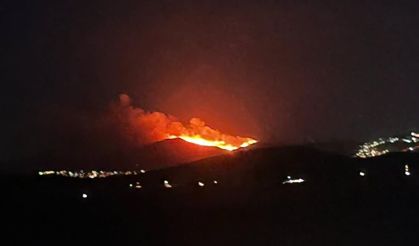 Bodrum’da maki ve ot yangını