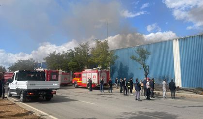 Gaziantep’te pamuk fabrikasında yangın