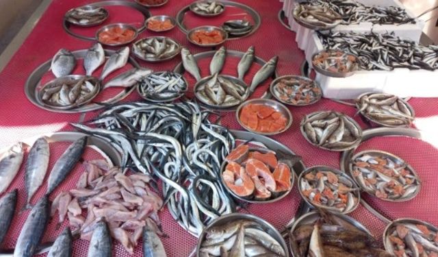 Balığın Faydaları Nelerdir?