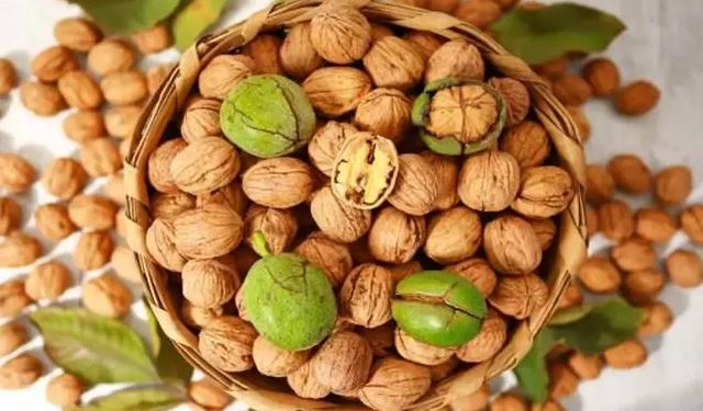 Cevizin Faydaları Nelerdir? Ceviz Tüketmenin Yararları!