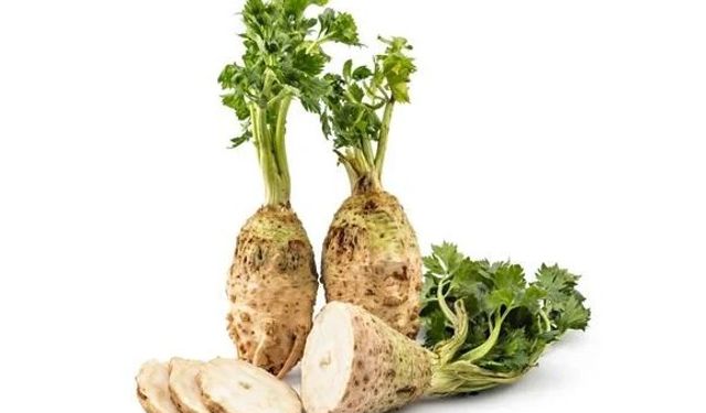 Kereviz Nedir? Kerevizin Faydaları Nelerdir?