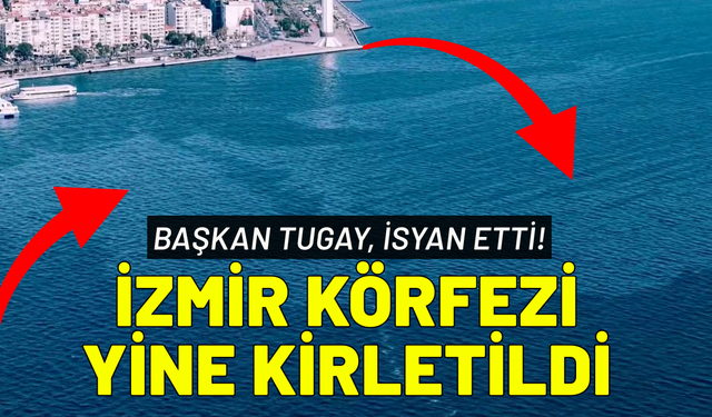 İzmir Körfezi yine kirletildi... Başkan Tugay, isyan etti!