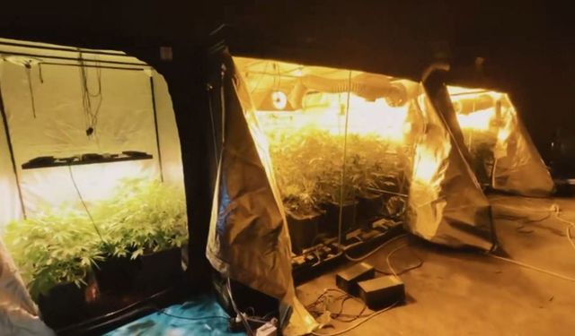 23 ilde uyuşturucu operasyonu: 177 tutuklama