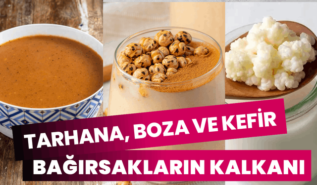 Tarhana, boza ve kefir bağırsakların kalkanı