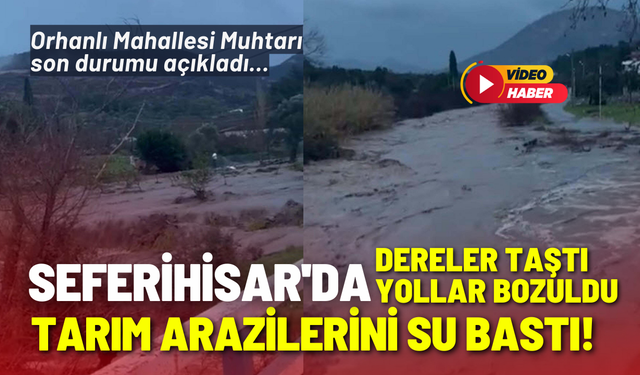 Seferihisar'da tarım arazilerini su bastı, dereler taştı, yollar zarar gördü!