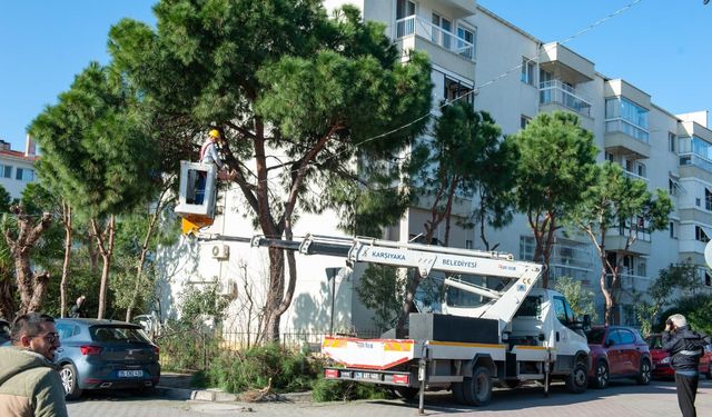 Karşıyaka'da budama seferberliği: Ağaçlar bahara hazırlanıyor
