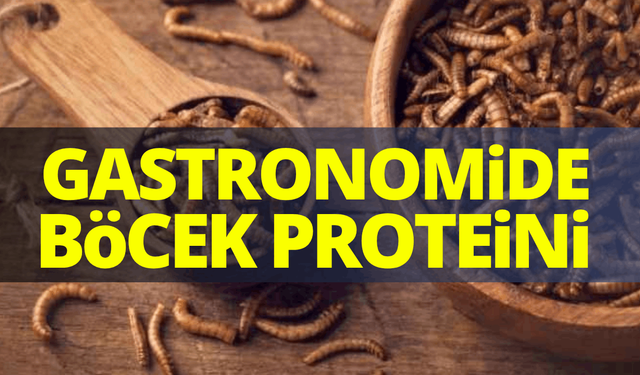 Gastronomide şefler böcek proteinine yöneliyor!