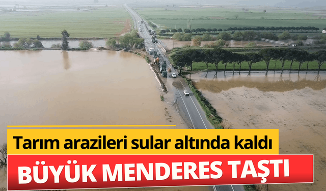 Büyük Menderes Nehri taştı, tarım arazileri sular altında kaldı