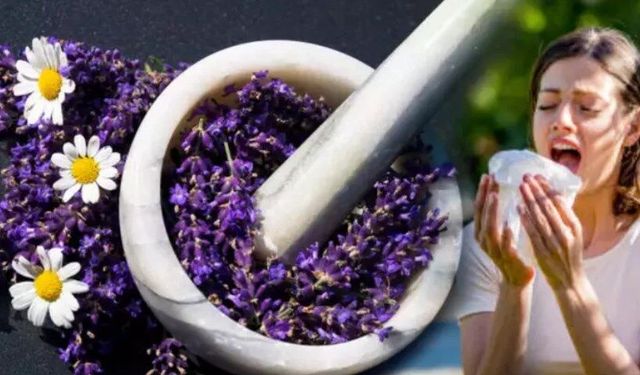 Bahar alerjisinden kurtaran doğal yöntemler! Burnu rahatlatıyor: Günde 2 kez için