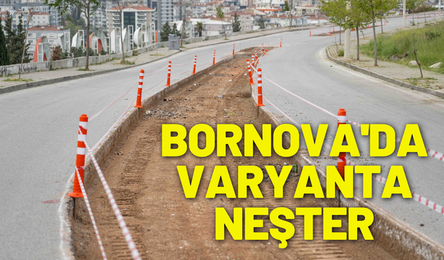 Bornova'da varyanta neşter