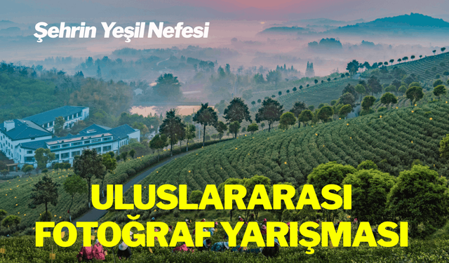Uluslararası Fotoğraf Yarışması'nda kazananlar belli oldu