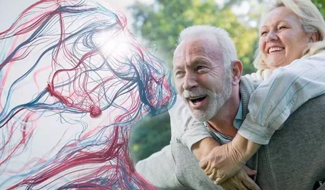 Uzun yaşamın sırrı: Sağlıklı damarlarda! En küçük tıkanıklık bile risk