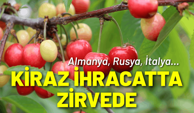Kiraz ihracatında Almanya, Rusya ve İtalya zirvede
