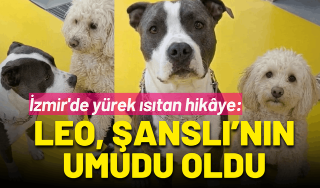 İzmir'de yürek ısıtan hikâye: Leo, Şanslı’nın umudu oldu