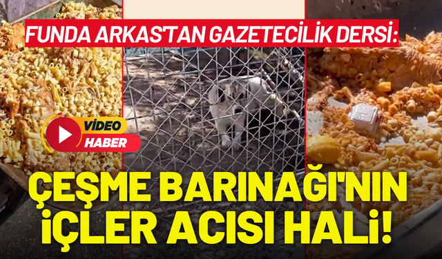 Funda Arkas'tan gazetecilik dersi: Çeşme Barınağı'nın içler acısı hali!