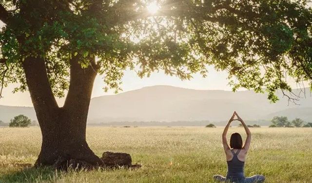 Meditasyon sadece rahatlatmıyor, beyni de dönüştürüyor! Günde 10 dakika yetiyor