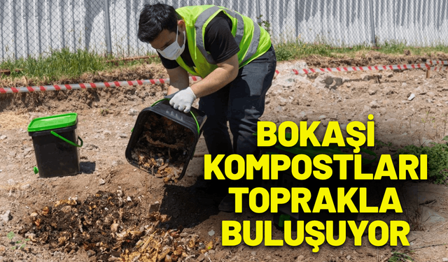 Bokaşi kompostları toprakla buluşuyor