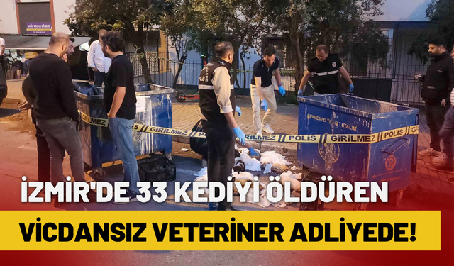 İzmir'de 33 kediyi öldüren vicdansız veteriner adliyede!