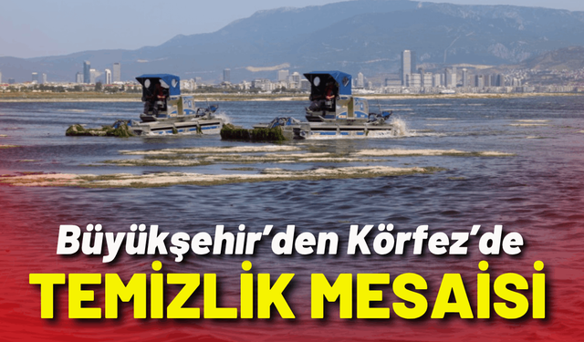 Büyükşehir’den Körfez’de temizlik mesaisi