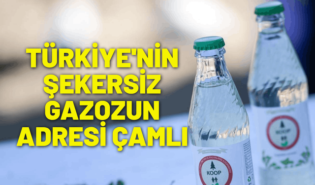 Türkiye'nin şekersiz gazozun adresi Çamlı