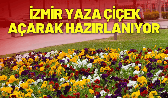 İzmir yaza çiçek açarak hazırlanıyor