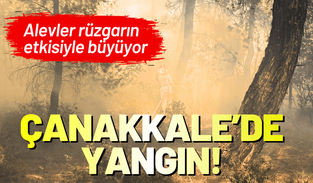 Çanakkale'de yangın! Alevler rüzgarın etkisiyle büyüyor