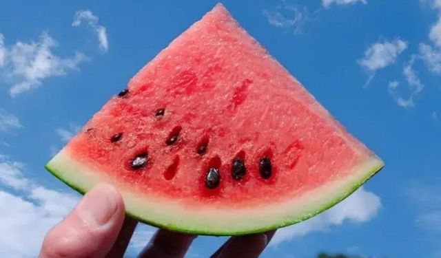 Çöpe attığınız mucize! Karpuz çekirdeğinin gizli gücü