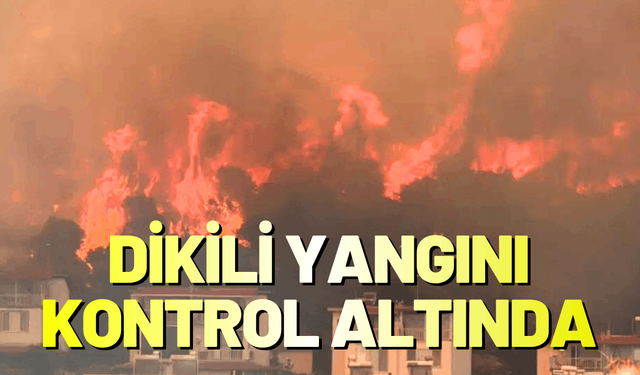 Dikili yangını kontrol altına alındı