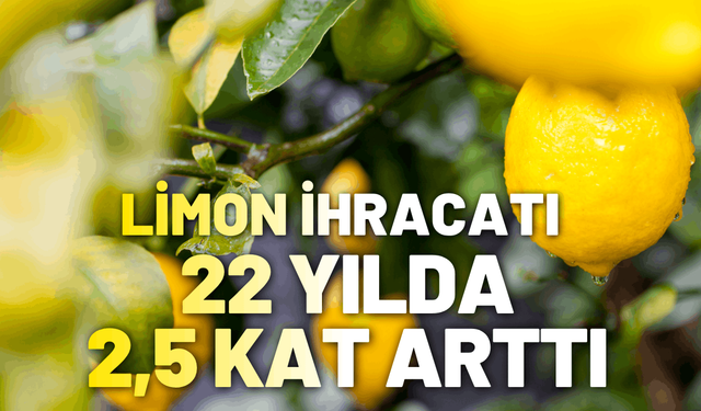 Türkiye'nin limon ihracatı 500 milyon dolara koşuyor